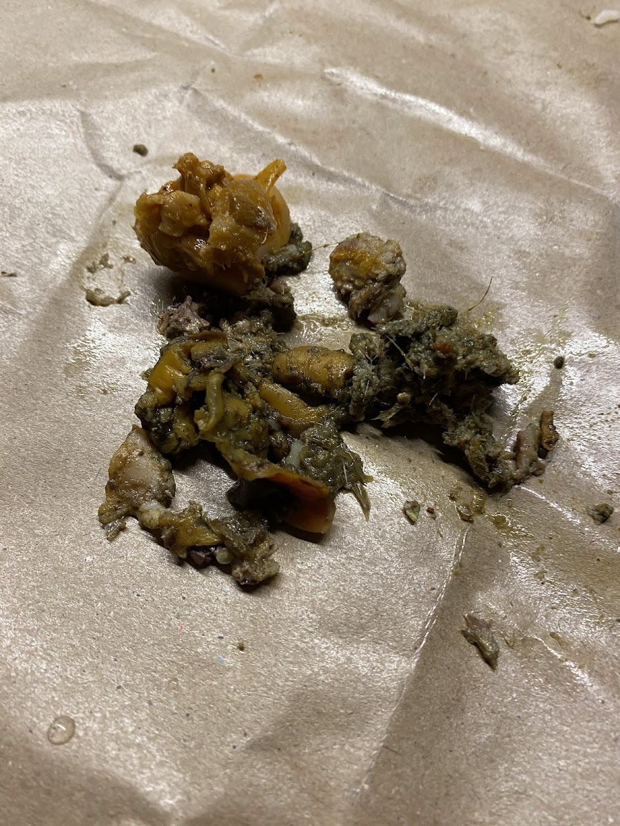 Putra Minang Restaurant Bencoolen-10